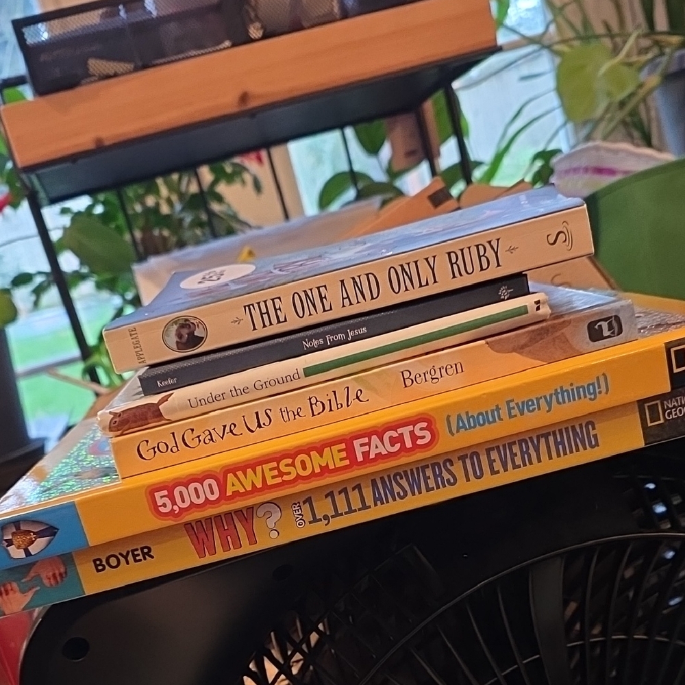 Colorful Book Collection for Home Accents